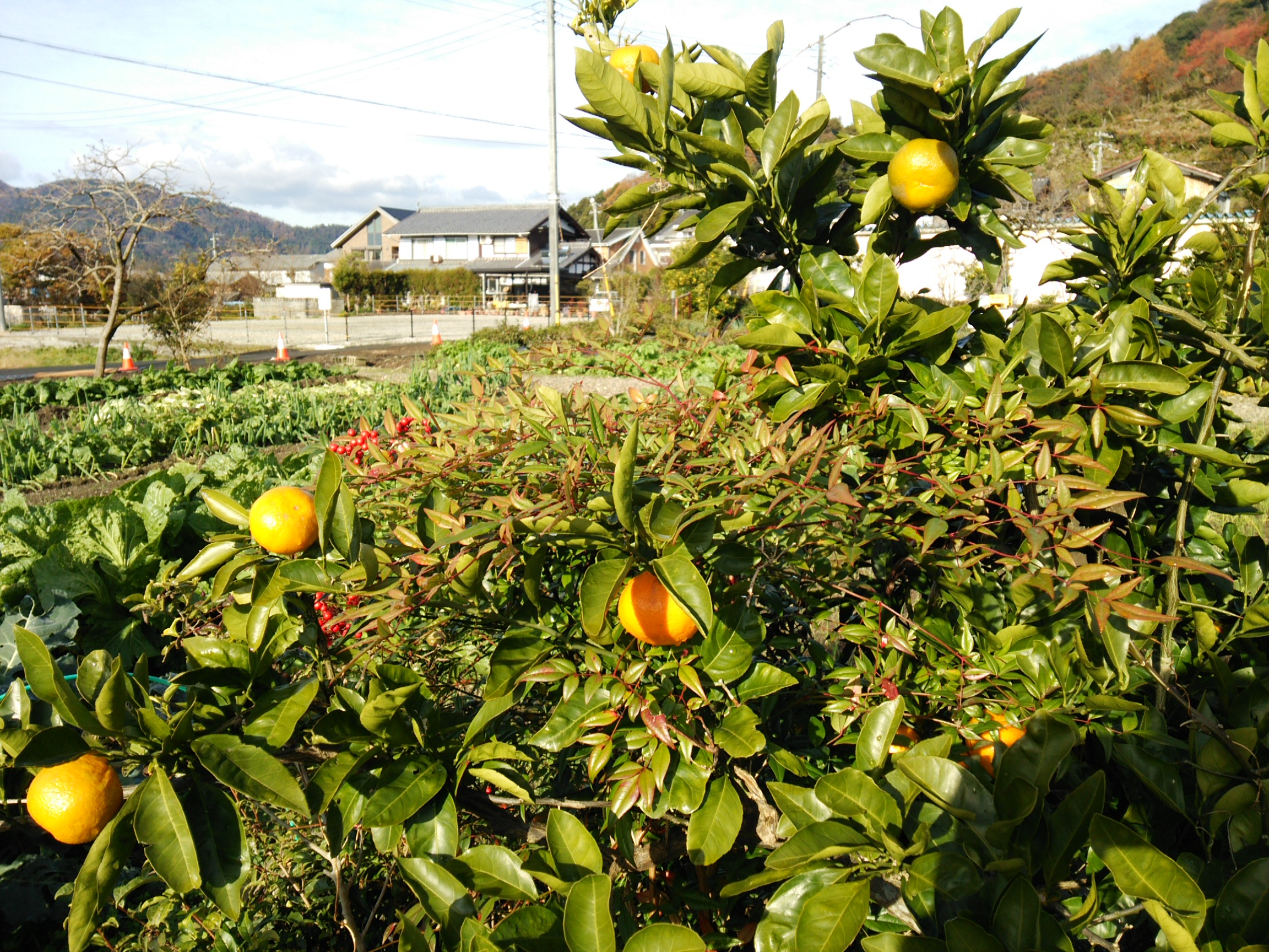 年末年始のお休みについて