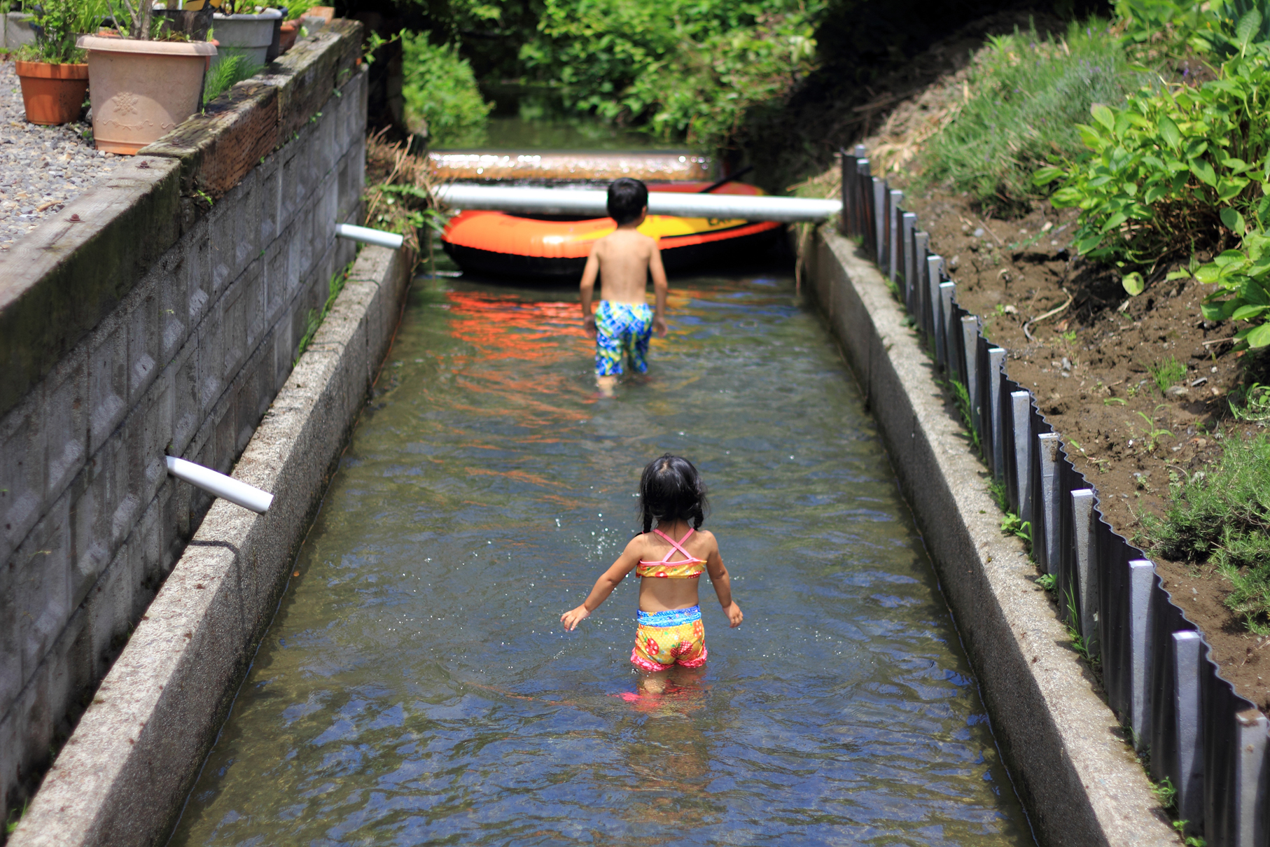 夏季パンの発送について