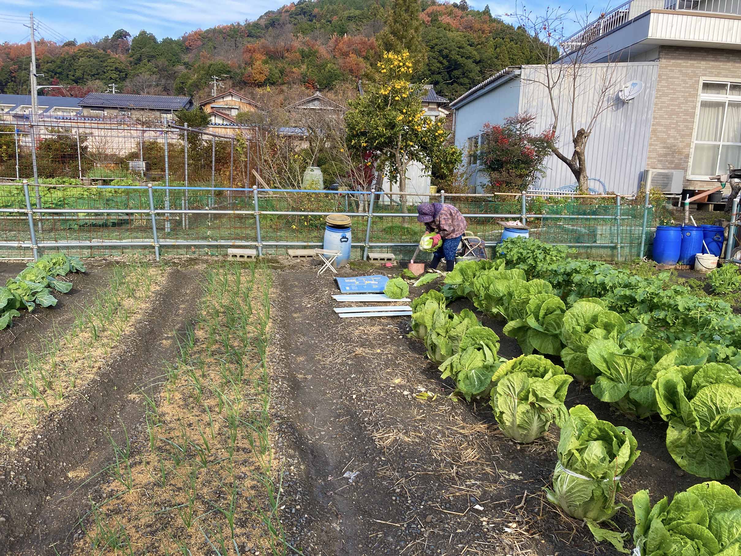 つるやパン年末年始休業について